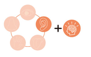 五感プラス第六感