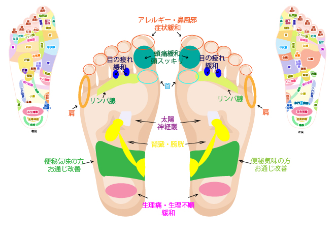 足ツボ足裏
