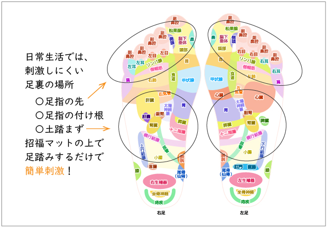 足ツボ足裏健康